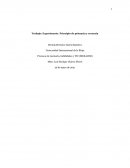 Trabajo: Experimento. Principio de primacía y recencia