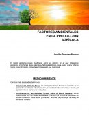 Factores ambientales en la producción agrícola