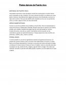 Platos típicos de Puerto Rico