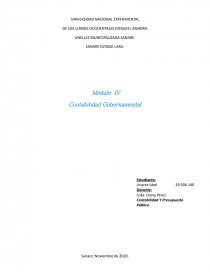 Contabilidad Gubernamental. Página 1