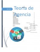 Mercado de Capitales.Teoría de Agencias