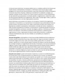 Macroentorno y su incidencia en las empresas