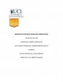 TALLER DE LECTURA. DISEÑO CURRICULAR