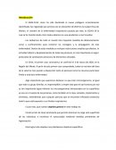 Informe sobre SARS-CoV2