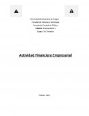 Actividad Financiera Empresarial. El Proceso Presupuestario