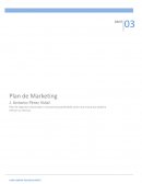 PLAN DE MARKETING empresa PEPE TOÑO