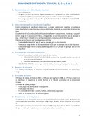 Características de la Constitución Española