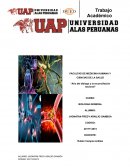 ¿Qué estudia las siguientes áreas de la biología?