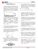 Practica Dirigida Física