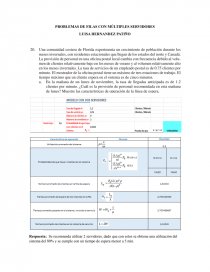 PROBLEMA DE FILAS CON MULTIPLES SERVIDORES. Página 1