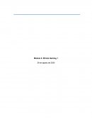 La piratería ética