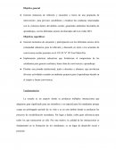 Trabajo final de graduación