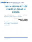 Ciencias en la Educación Básica
