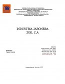 PLAN DE NEGOCIO INDUSTRIA JABONERA ZOE, C.A