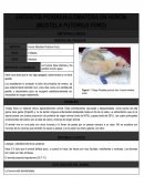 Enteritis piogranulomatosa huron