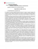 EXPERIENCIA CURRICULAR DE DESARROLLO ORGANIZACIONAL