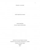 Mercadeo vs no mercadeo