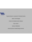 Estructura Integral del desarrollo