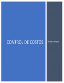 CONTROL DE COSTOS