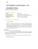¿Cuáles son las causas de la violencia contra las mujeres?