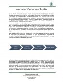 La educación de la voluntad