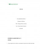 NFORME DE LABORATORIO No. 10 MITOSIS