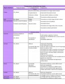 Proyecciones radiográficas por áreas