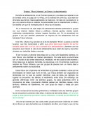 Ensayo: Tribus Urbanas: Los Emos y la discriminación