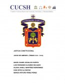 JUSTICIA CONSTITUCIONAL JUICIO DE AMPARO. (TEMAS 3.8.2 - 3.9.4)