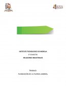 PLANEACIÓN DE LA FUERZA LABORAL