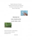 PROYECTO GEL PURIFICANTE ALOE VERA 100%