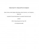 Trabajo Grupal N°3 – Entrega del Plan de Investigación