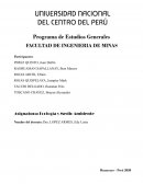 Factores determinantes de la contaminación del río Mantaro