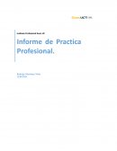Informe Disciplinar Práctica Profesional