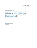 Informe Disciplinar Práctica Profesional