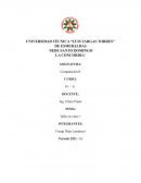 Analisis presupuesto Cervecería nacional C.A