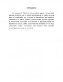 IMPORTANCIA DE LA AUDITORIA ADMINISTRATIVA EN VENEZUELA