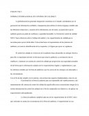 NORMAL INTERNACIONAL DE CONTROL DE CALIDAD I