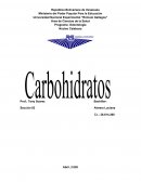 Composición Química de los Carbohidratos