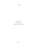 CASO PRACTICO 1 Videojuegos SL