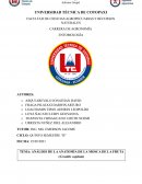 ANATOMIA GENERAL DE LA MOSCA DE LA FRUTA