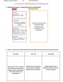 Actividades de construcción de los aprendizajes