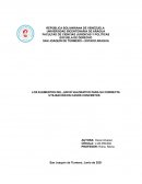 LOS ELEMENTOS DEL JUICIO VALORATIVO PARA SU CORRECTA UTILIZACIÓN EN CASOS CONCRETOS