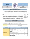FORMATO AUTOEVALUACION SOCIALES