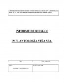 INFORME DE RIESGOS IMPLANTOLOGÍA VIÑA SPA.