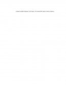 ENSAYO (IDENTIDAD CULTURAL UN CONCEPTO QUE EVOLUCIONA)