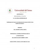 Esperanza de vida en los negocios de Ciudad Ixtepec