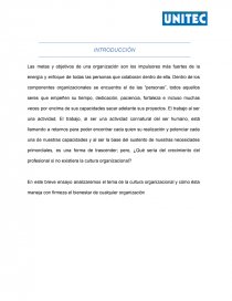 CULTURA Y TALENTO ORGANIZACIONAL. Página 4