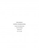 CONTROL ORGANIZACIONAL