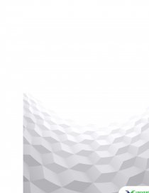 CULTURA Y TALENTO ORGANIZACIONAL. Página 2